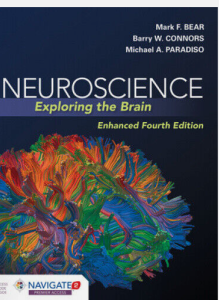 Neuroscience Exploring the Brain 4th Edition